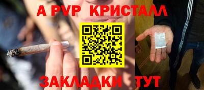 шишки Можайск
