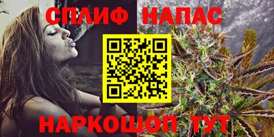 мдпв Моздок
